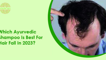Which Ayurvedic Shampoo Is Best For Hair Fall In 2023?