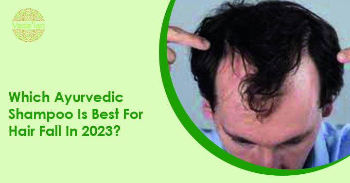 Which Ayurvedic Shampoo Is Best For Hair Fall In 2023?